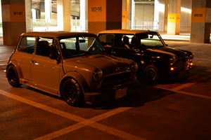 DSC_0078.jpg