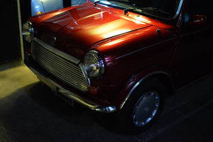 DSC_0177.jpg