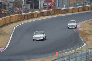 DSC_0233.jpg