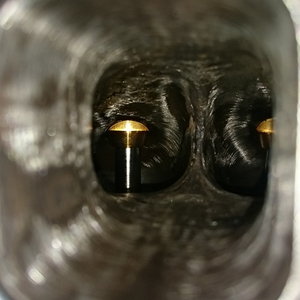 DSC_0364.JPG