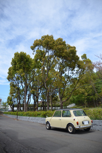 DSC_0619.jpg