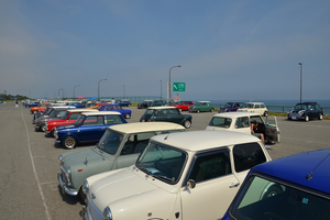 DSC_0723.JPG