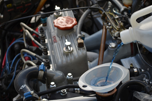 DSC_1544.jpg