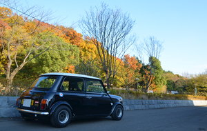 DSC_2229.jpg