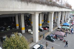 DSC_2482.jpg