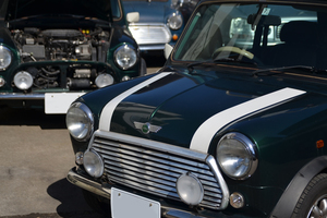 DSC_2546.jpg
