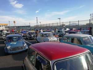 IMG_20171126_081546.jpg